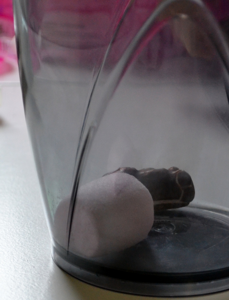 Atelier scientifique maternelle